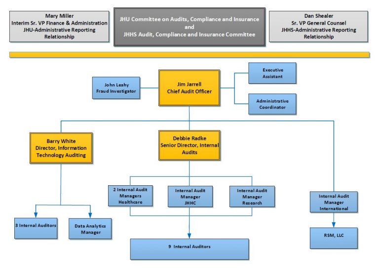 Organization Chart – Office of Hopkins Internal Audits